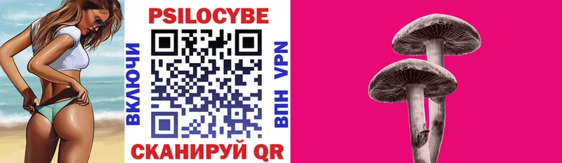 Псилоцибиновые грибы Psilocybe  OMG онион  Кемерово 